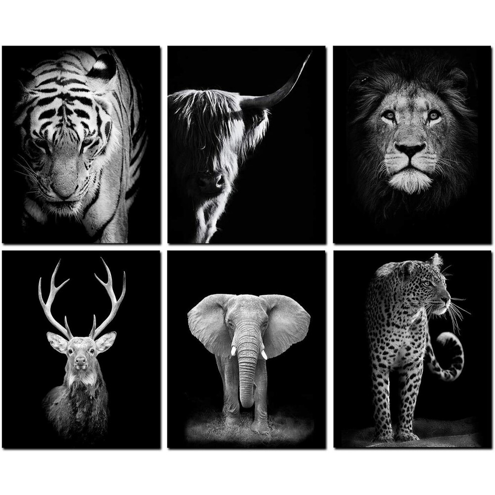 Black and White Wall Art Print Set of 6 Animals Wall Decor Art 8"x10" UNFRAMED